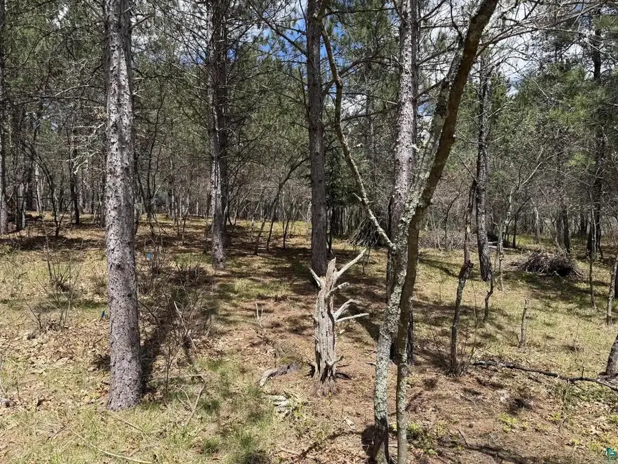 9944 E Eagles Nest Rd, Gordon, WI 54838 - #3