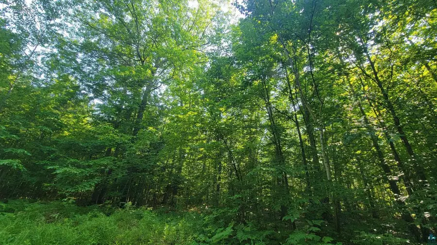 E Half Mile Rd, Herbster, WI 54844 - #2