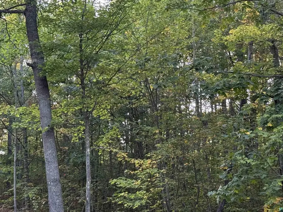 000 Highway 2, Iron River, WI 54847 - #3