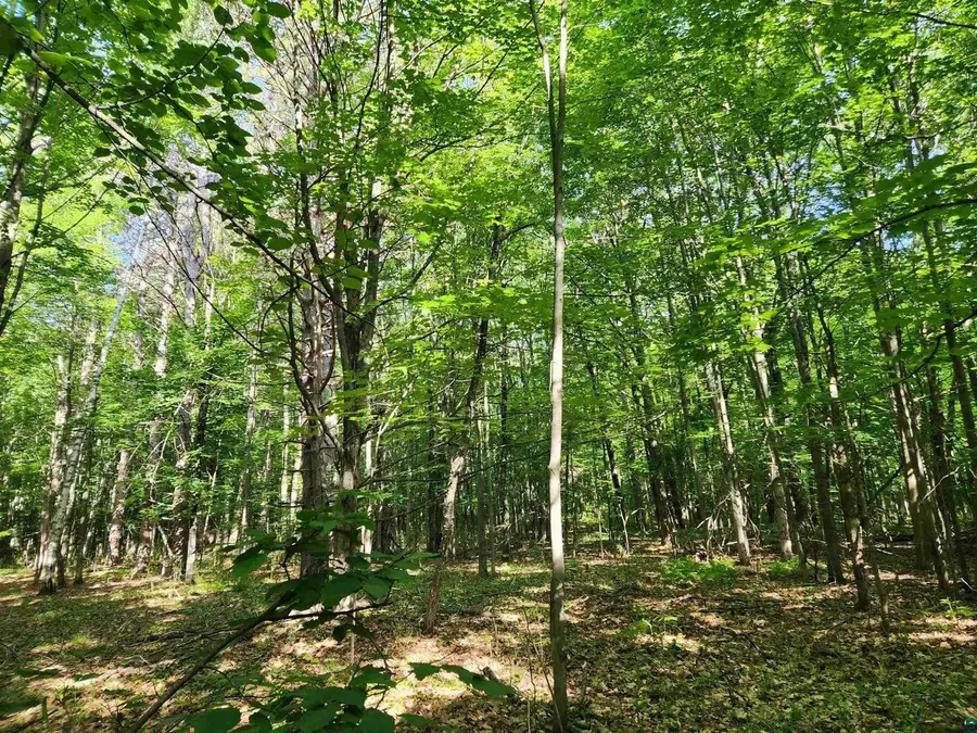 30XXX Sky Rd, Washburn, WI 54891 - #2