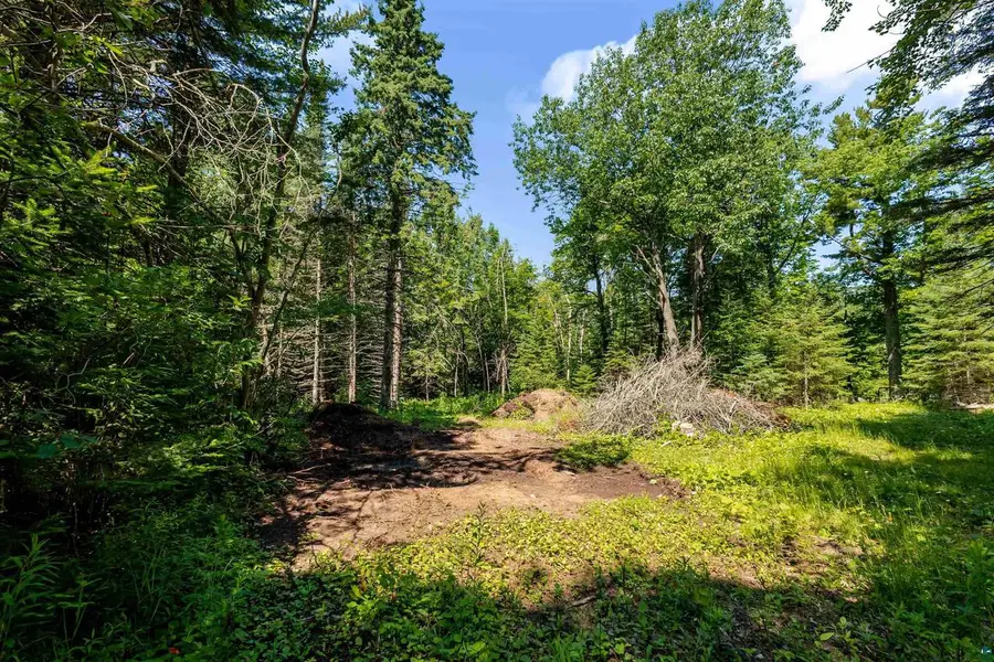 5553 S Darrow Rd, Superior, WI 54880 - #3