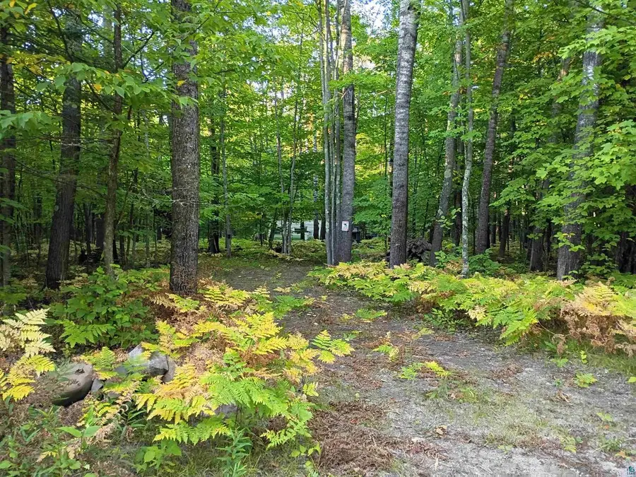 14343 Eagles Ridge Rd, Brule, WI 54820 - #3