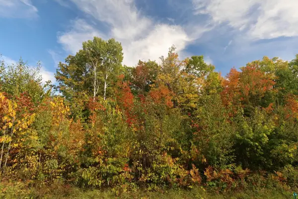 91XXX-S W Old County Hwy K, Bayfield, WI 54814