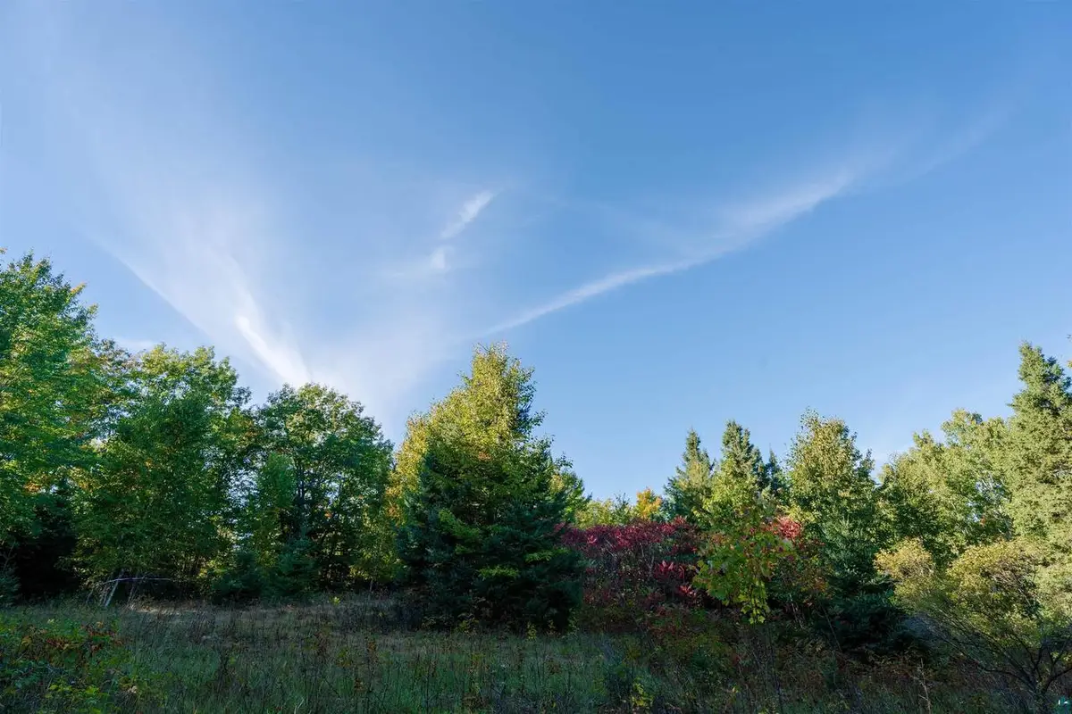 10 Acres on E White Birch Rd, Port Wing, WI 54865 - #1