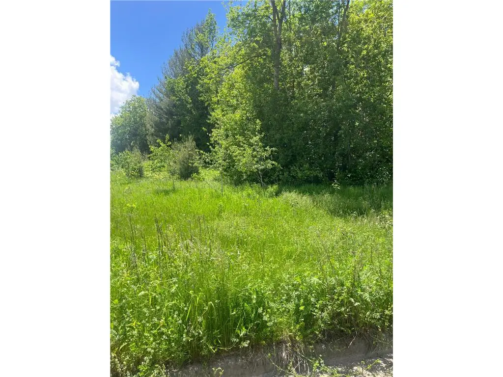 950 Emerald Court, Rice Lake, WI 54868 - #1