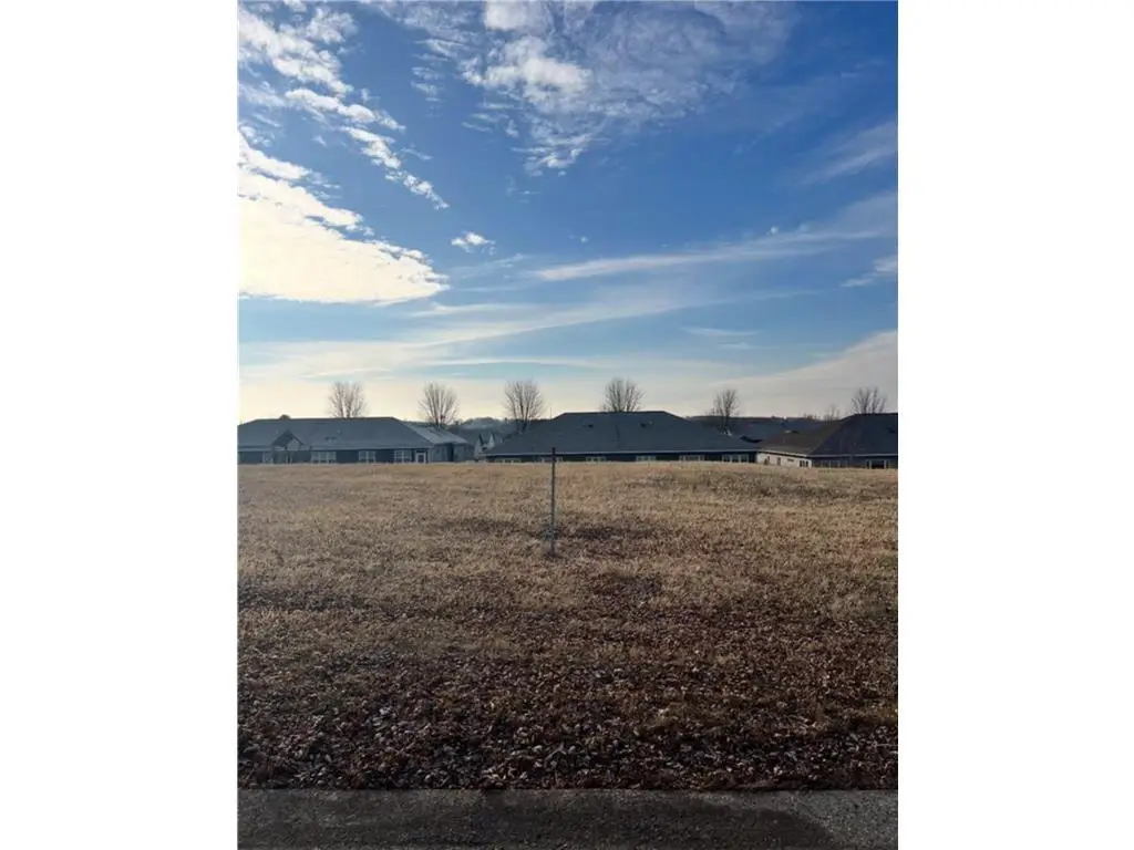 316 Birch Street, Baldwin, WI 54002 - #1