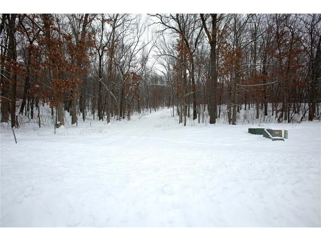 Lot's 4,5 & 6 Anderson Hill Lane, Boyceville, WI 54725 - #1