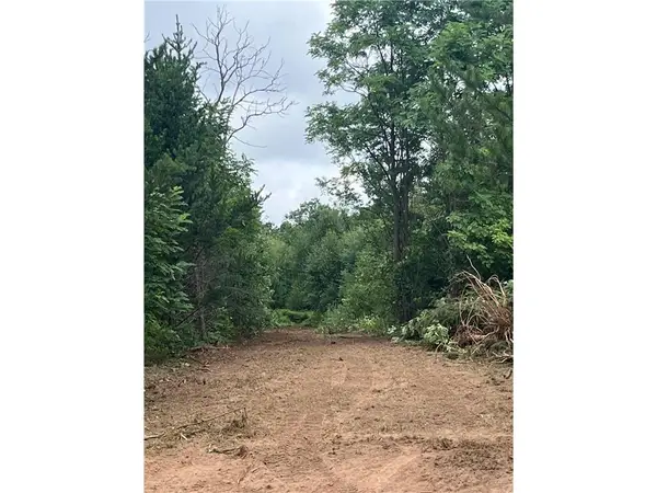 XXX Bluebird Trail, Webster, WI 54893