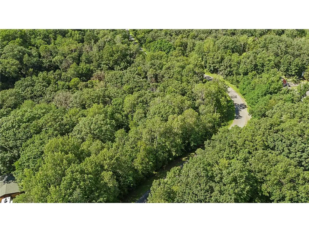 TBD DeLong Road, Somerset, WI 54025 - #1