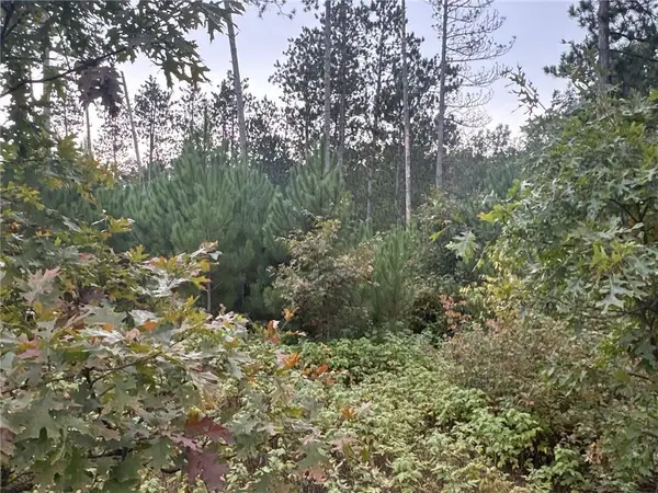 TBD Hayden Lake Road, Danbury, WI 54830