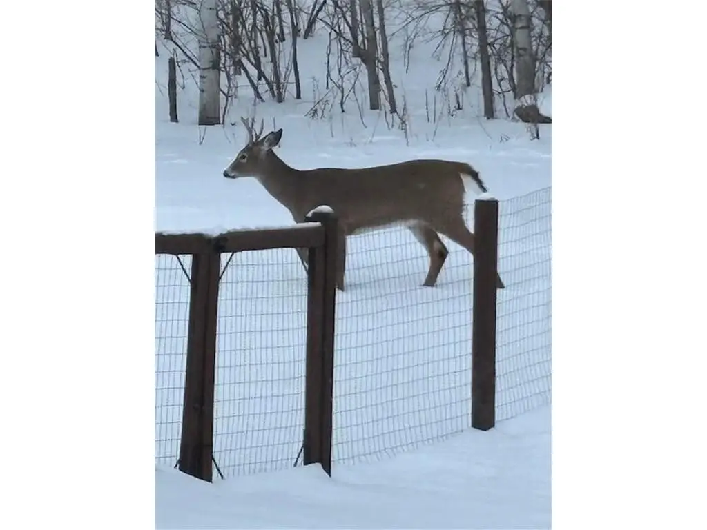 765 Hilltop Lane, Saint Croix Falls, WI 54024 - Image #1