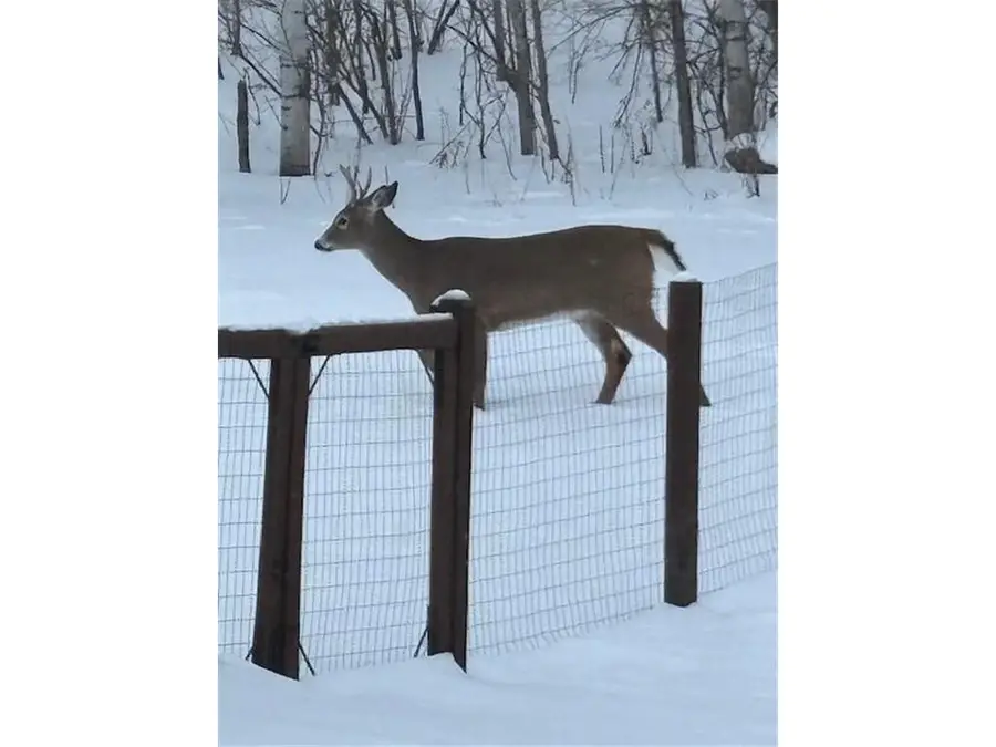 765 Hilltop Lane, Saint Croix Falls, WI 54024 - Image #2