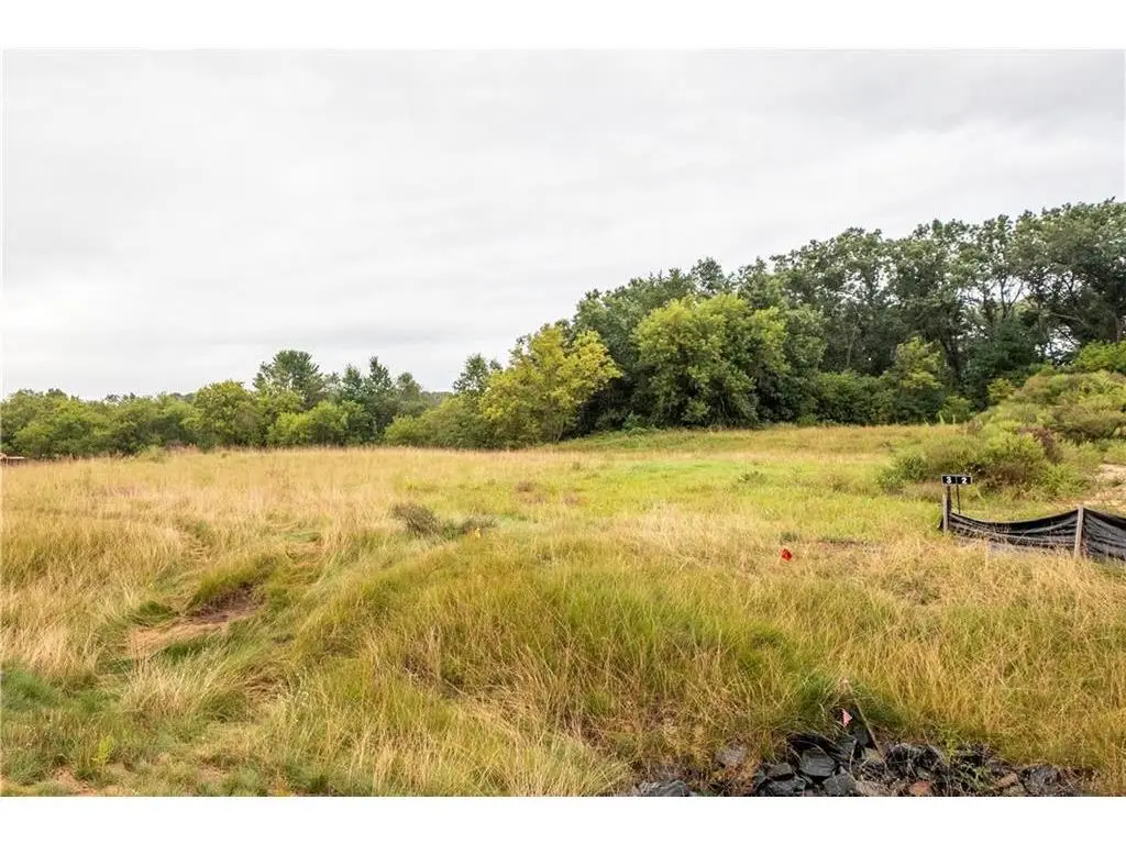 Lot 3 Mertinke Landing, Eleva, WI 54738 - #1