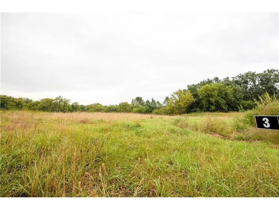 Lot 3 Mertinke Landing, Eleva, WI 54738 - #3