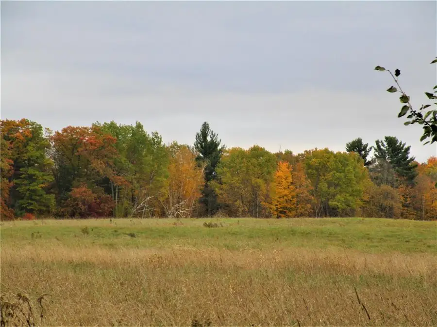 Parcel 3 90th Street, Frederic, WI 54837 - #3
