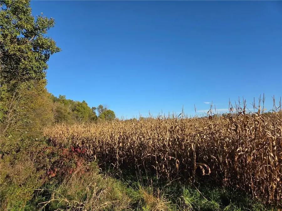 TBD Intersection of Hwy 48 & Hwy 25, Rice Lake, WI 548, Rice Lake, WI 54868 - Image #3