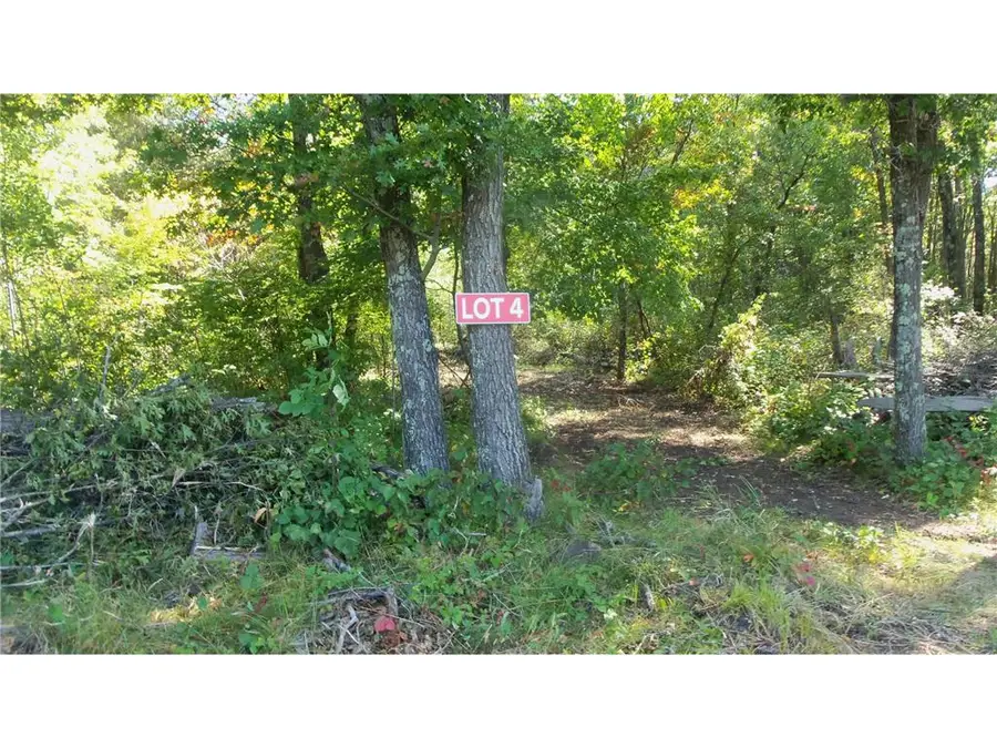 Lot 4 East River Rd, Grantsburg, WI 54840 - #3