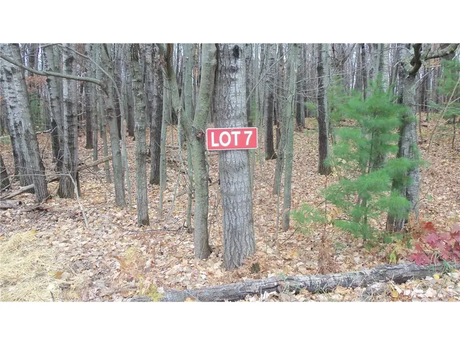 Lot 7 Herman Johnson Rd, Siren, WI 54872 - #3