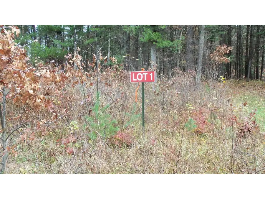 Lot 1 130th St, Siren, WI 54872 - Image #3