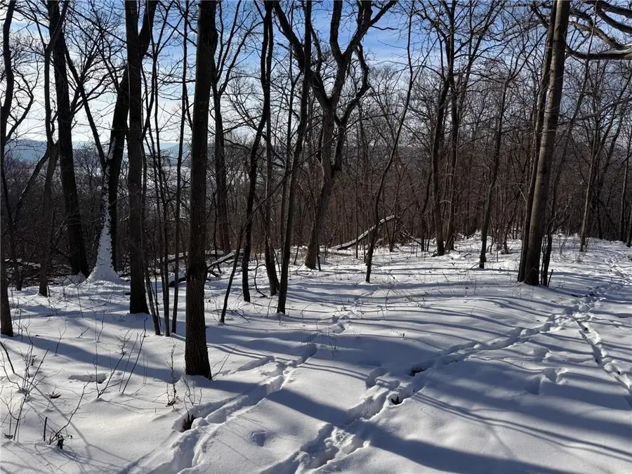 W27022 Whistle Pass Road, Dodge, WI 54661 - #3