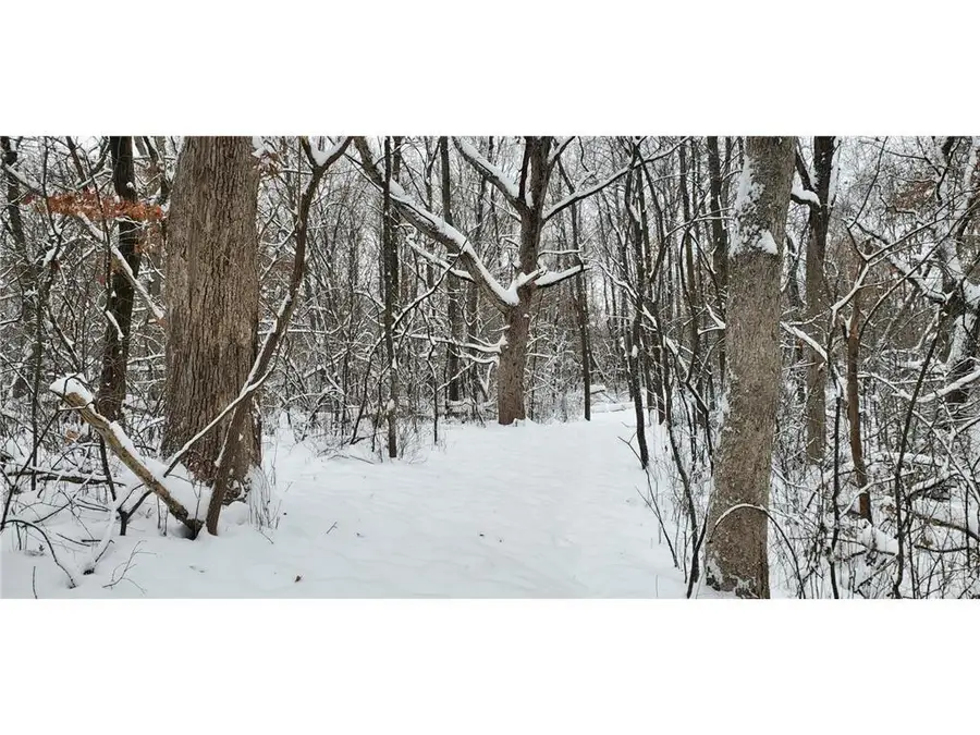 TBD 50th Street, Somerset, WI 54025 - #3