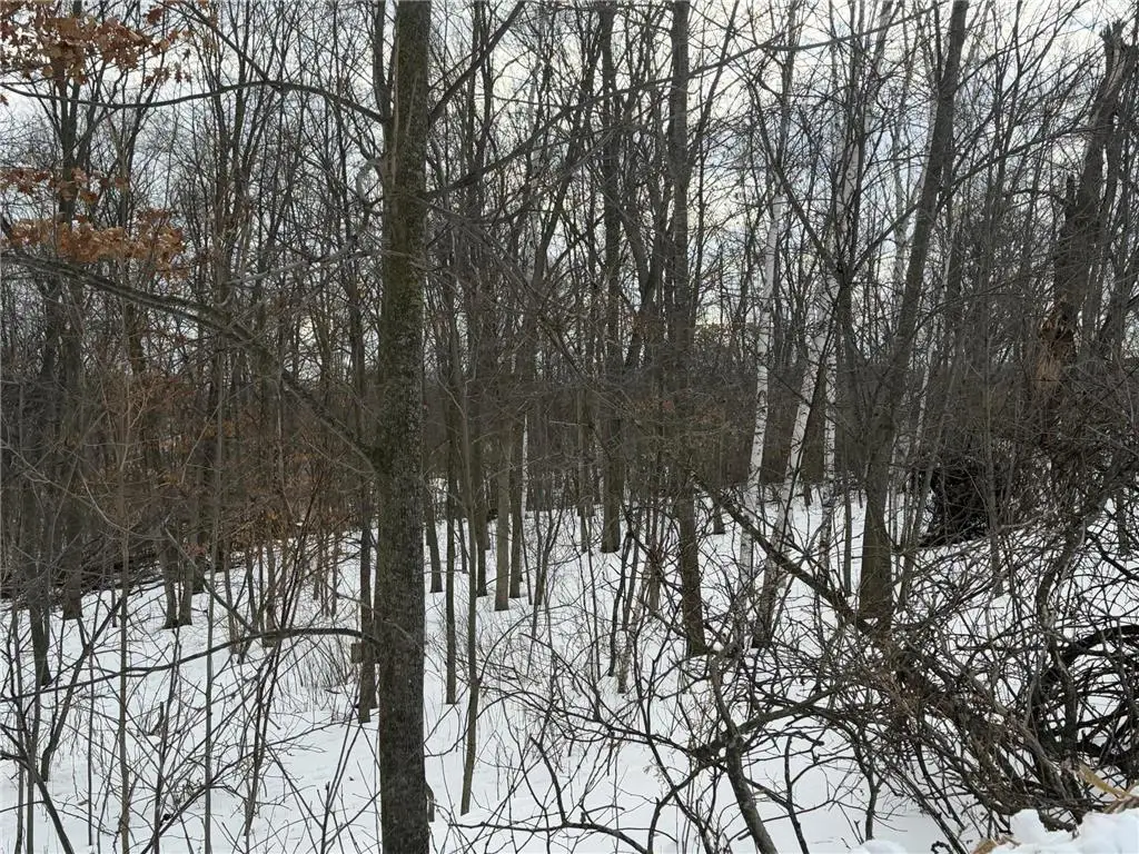 TBD 180th Avenue, Balsam Lake, WI 54810 - #1