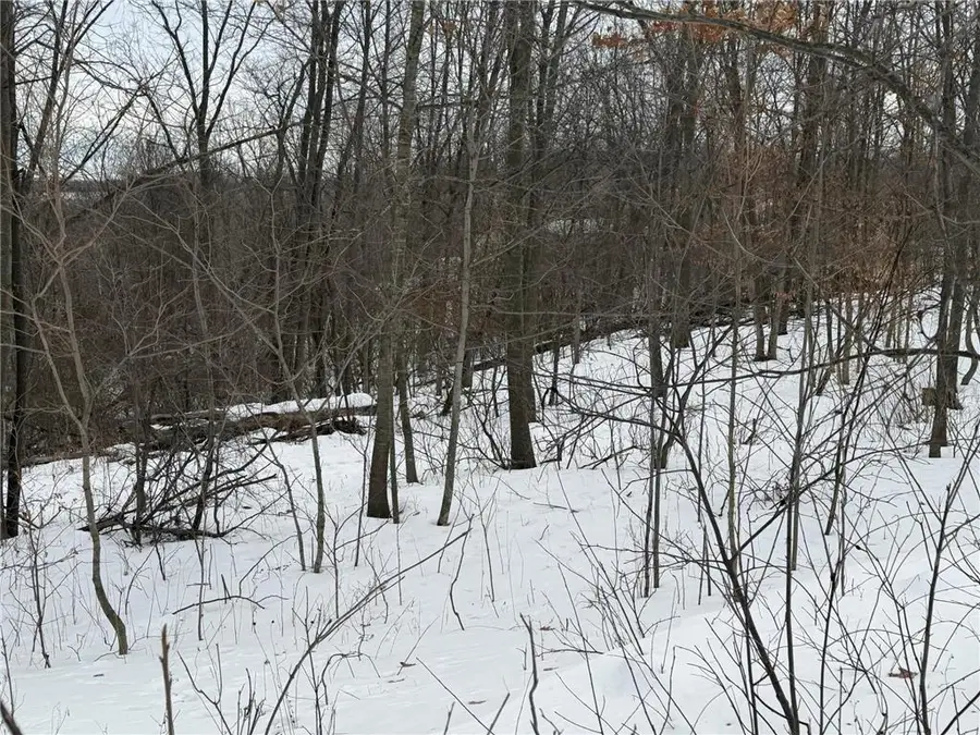 TBD 180th Avenue, Balsam Lake, WI 54810 - #3