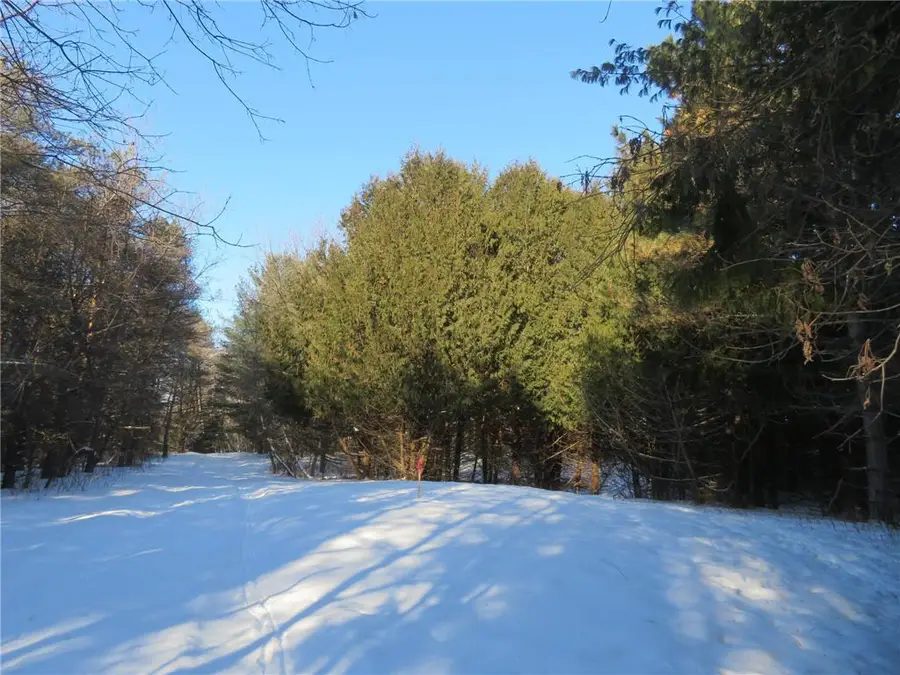 Lot 2 E Lincoln Ave, Amery, WI 54001 - #3