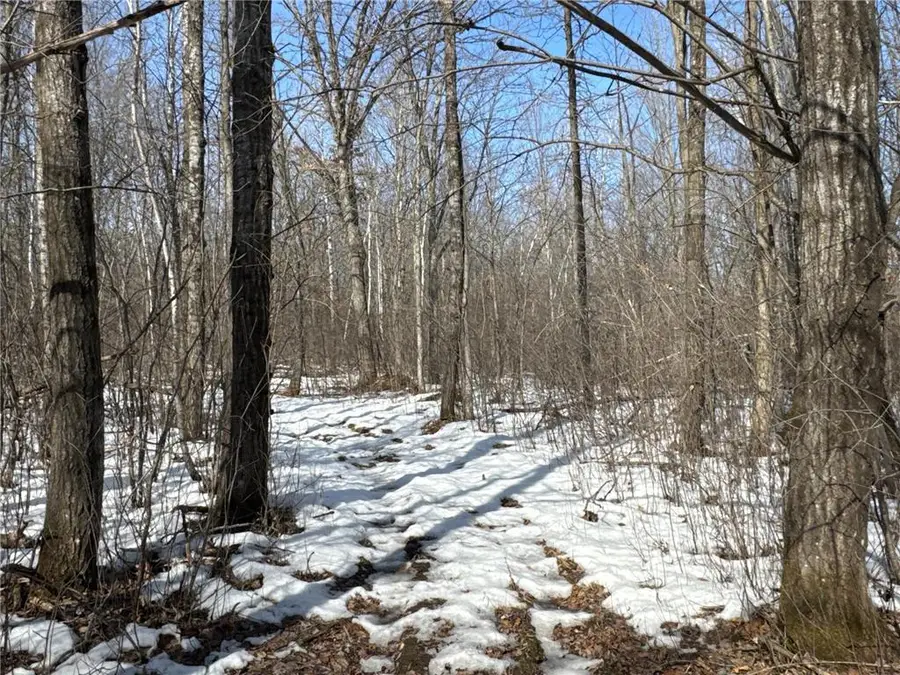 27XX 11th Avenue, Chetek, WI 54728 - #2