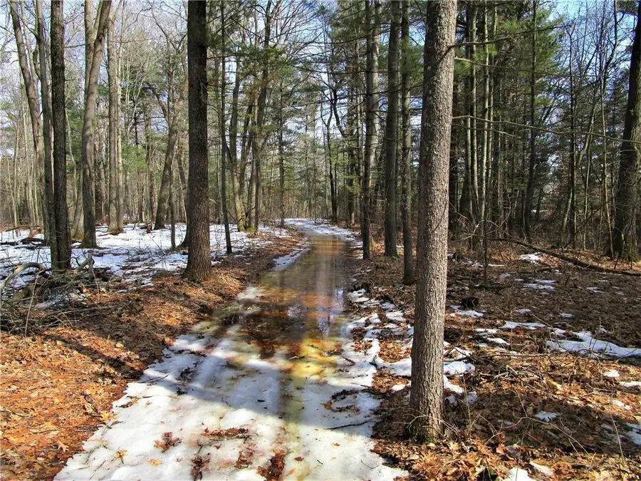 XX 120th Street, Frederic, WI 54837 - #3