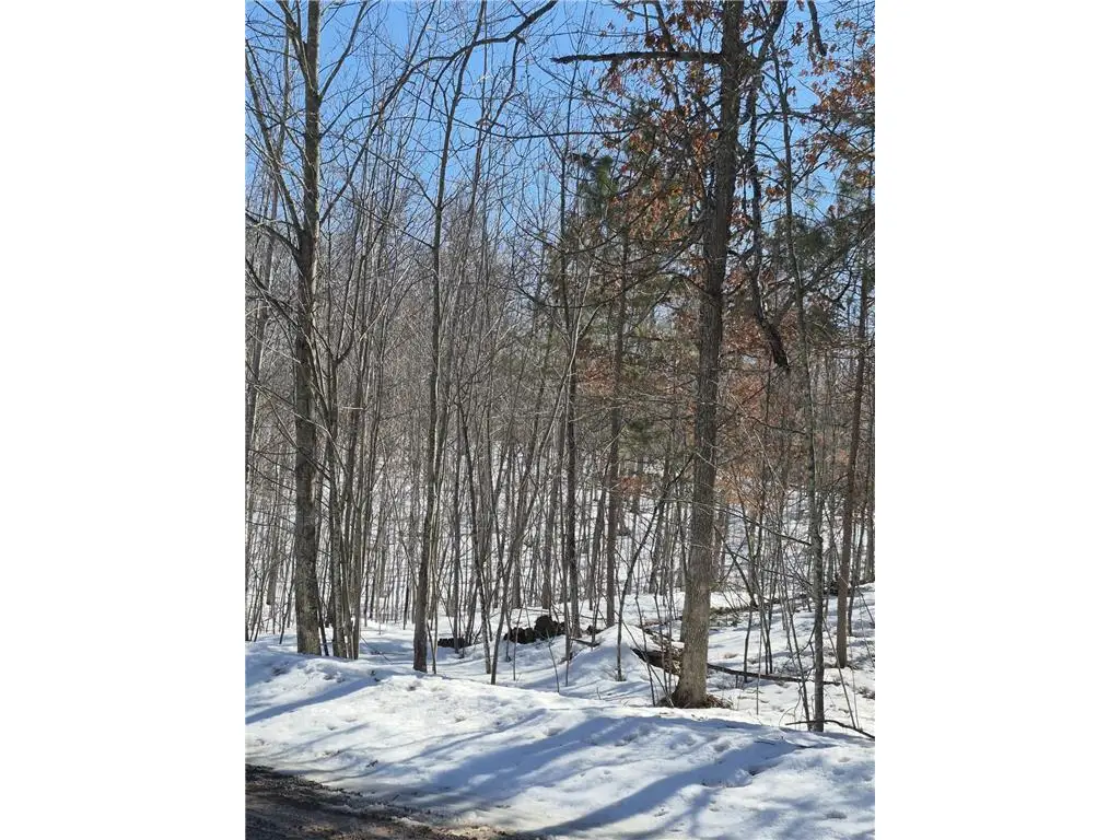 Lots 10 & 11 Wintergreen Trail, Danbury, WI 54830 - #1