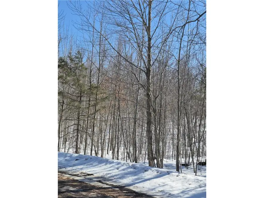 Lots 10 & 11 Wintergreen Trail, Danbury, WI 54830 - #3