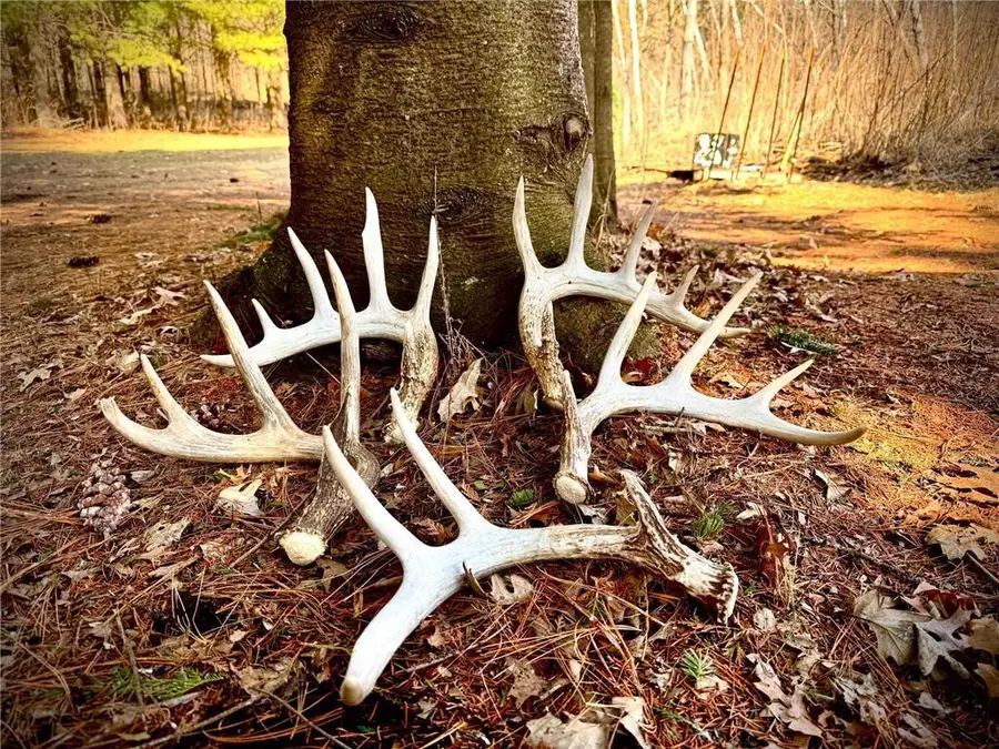 County Road M County Road M, Osceola, WI 54020 - #2