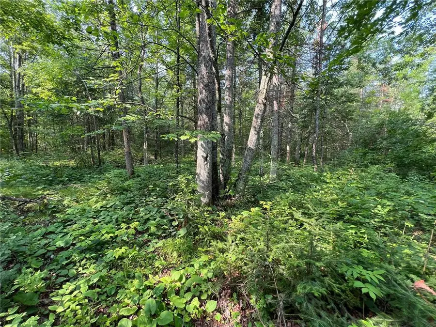W8804 Timber Trail, Ladysmith, WI 54848 - #3