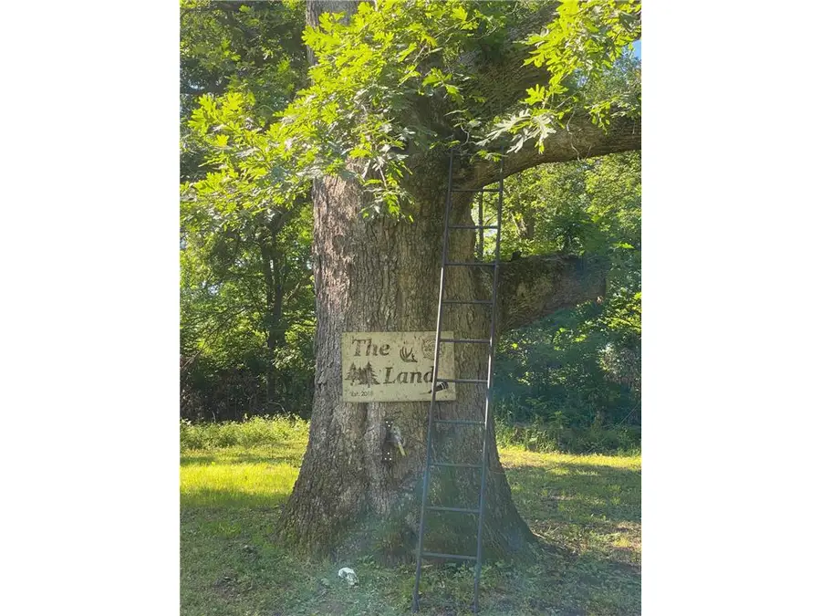 27333 Deep River Road, Lanesboro, MN 55949 - #3