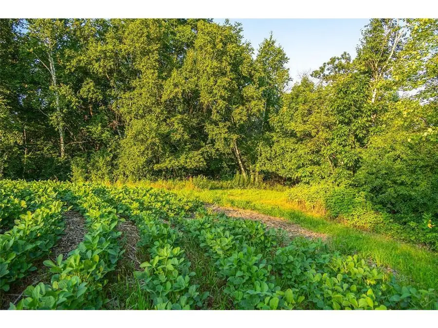 0 Cty S Road, Blair, WI 54616 - #2