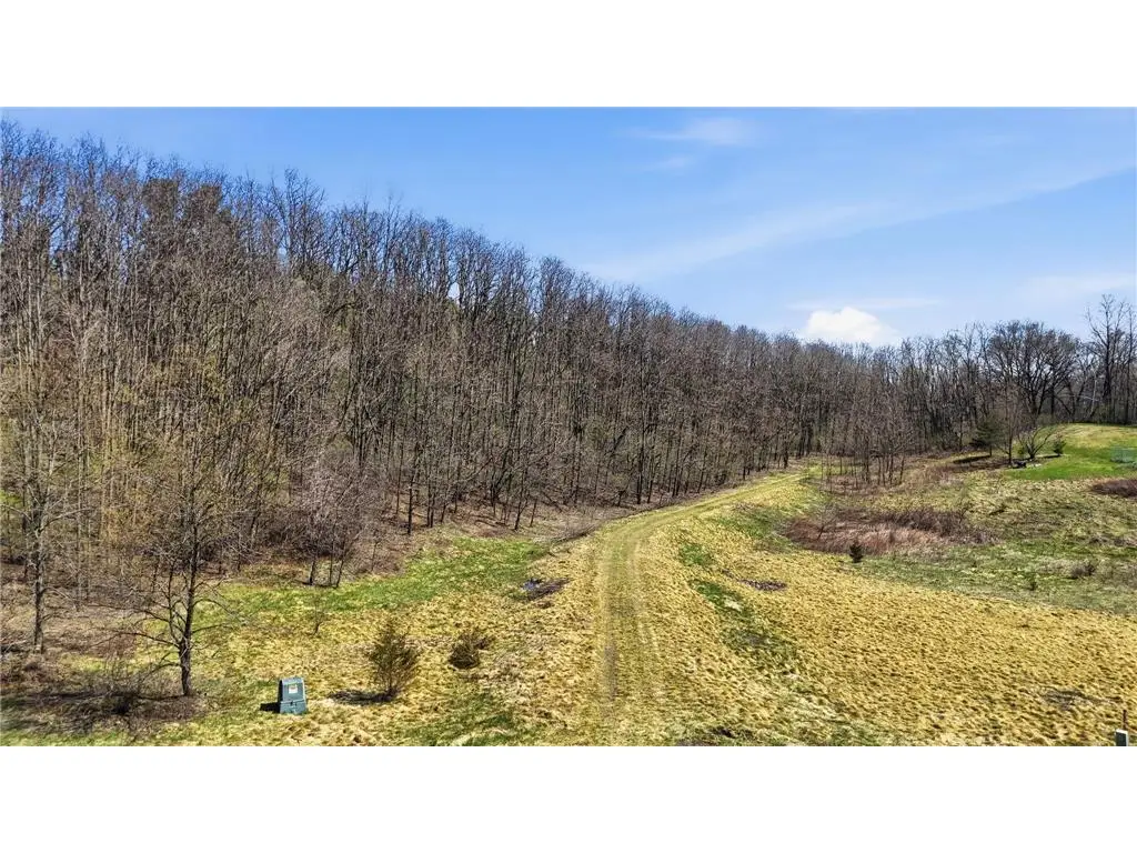 406 134th Avenue, Houlton, WI 54082 - #1