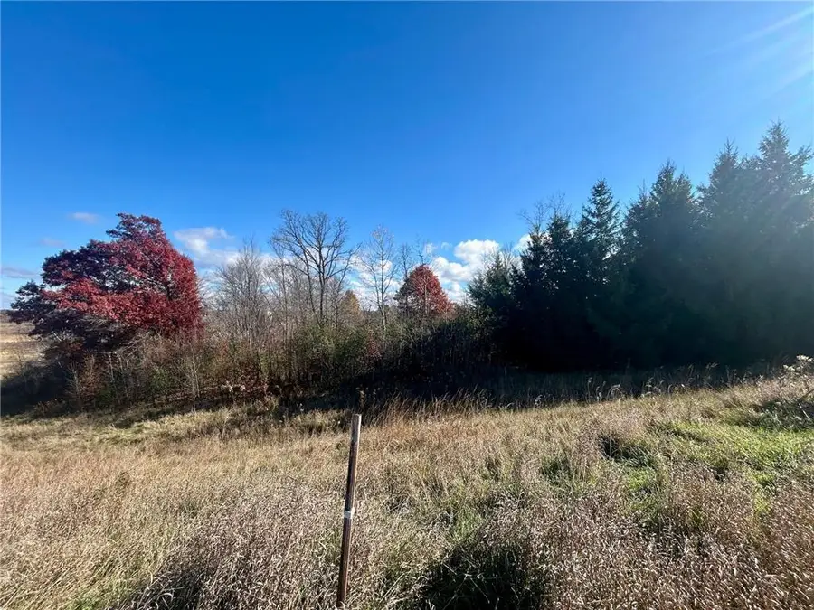 TBD 125th Street, Amery, WI 54001 - #3