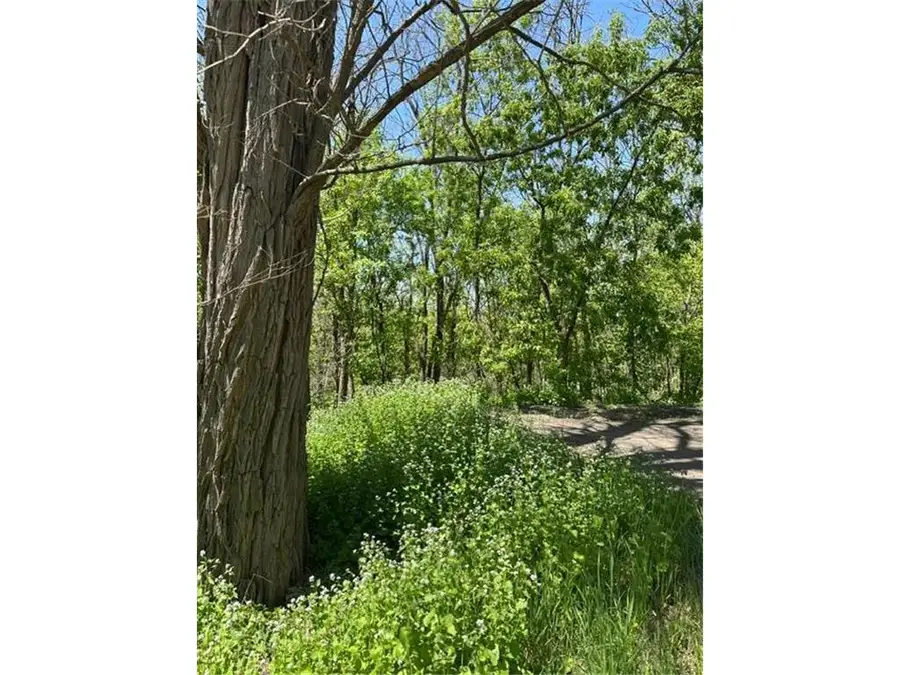 XXX Adams Street, Saint Croix Falls, WI 54024 - #2