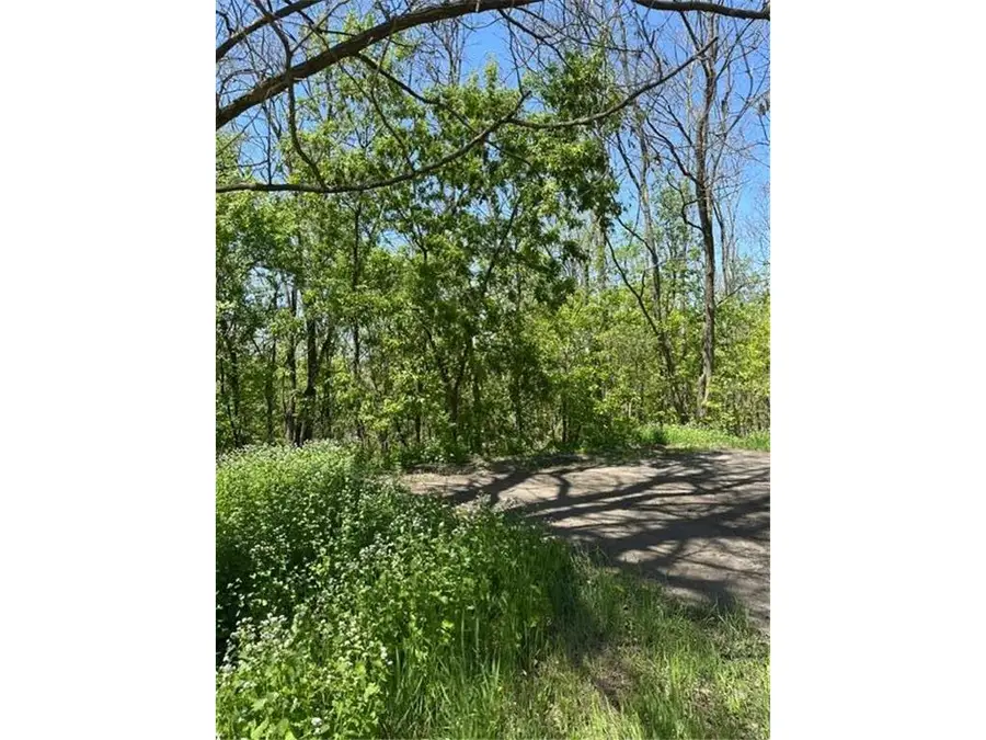 XXX Adams Street, Saint Croix Falls, WI 54024 - #3