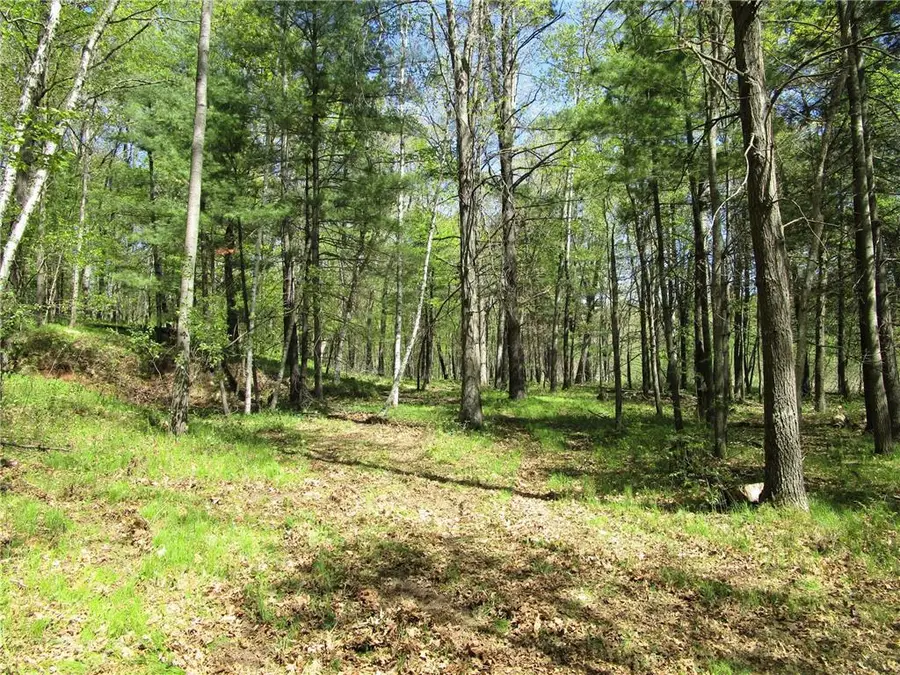 XX S Long Lake Rd, Siren, WI 54872 - #2