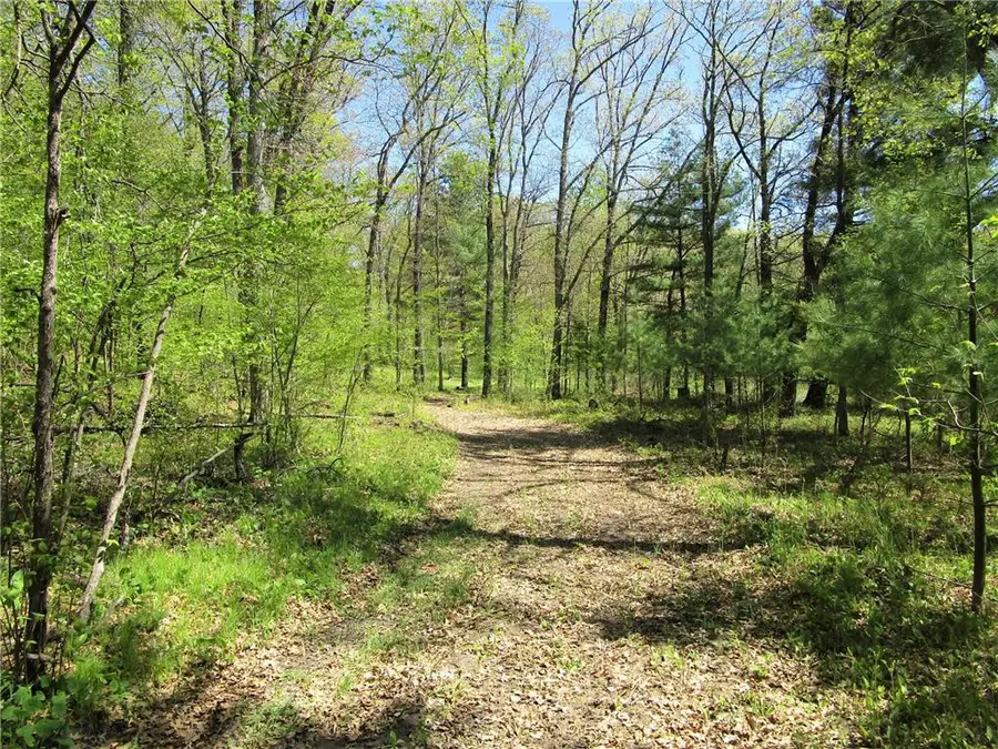 XX S Long Lake Rd, Siren, WI 54872 - #3