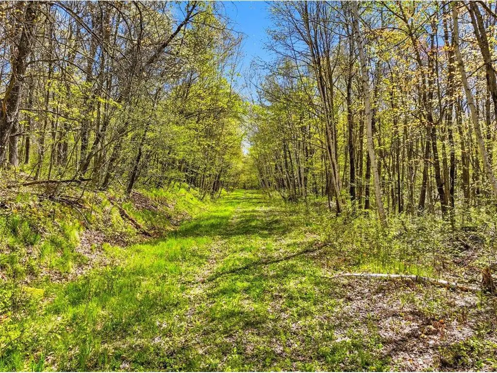 W6474 River Road, Trego, WI 54888 - #1
