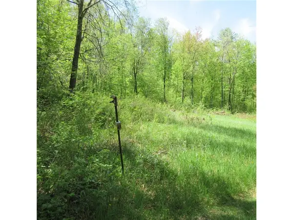 xxx 810th Avenue, Boyceville, WI 54751