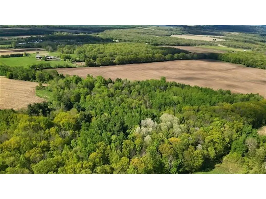 xxx Vista Road, Taylors Falls, MN 55084 - #1