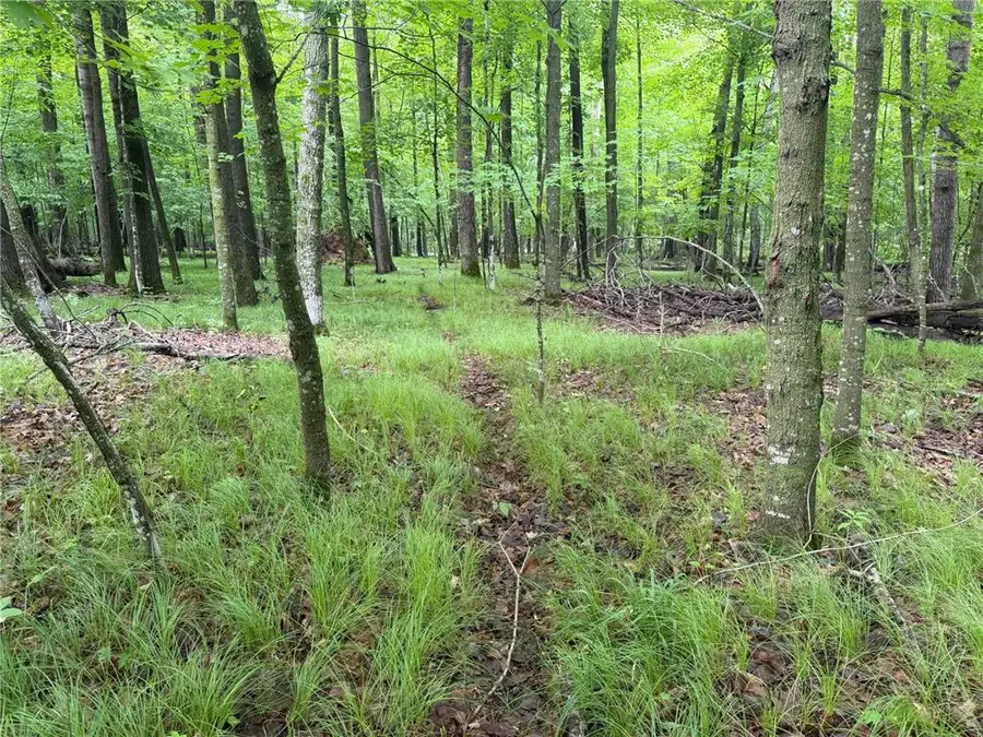 TBD West Bone Lake Dr, Milltown, WI 54858 - #3