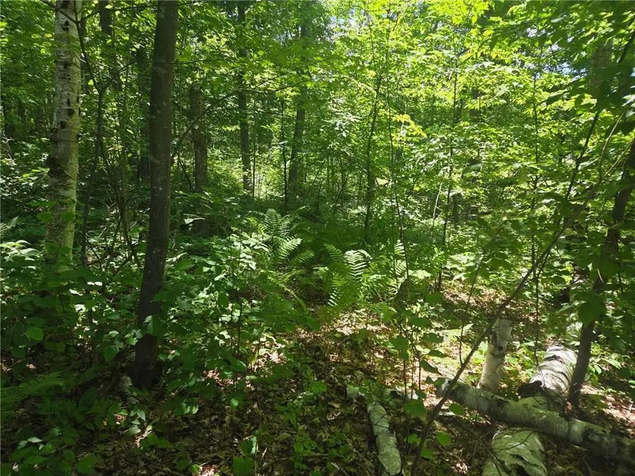 TBD County Rd G, Comstock, WI 54826 - #3