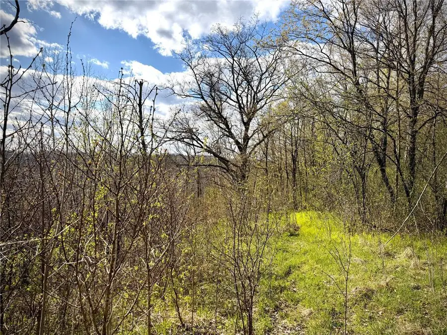 TBD County Line Avenue, Clear Lake, WI 54005 - #2