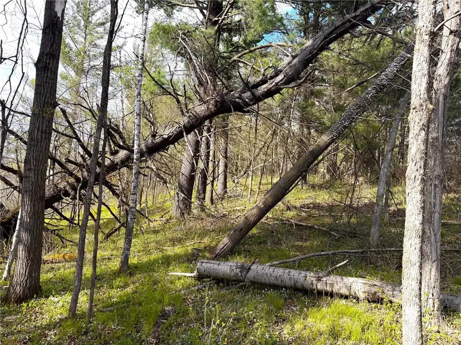 TBD County Line Avenue, Clear Lake, WI 54005 - #3
