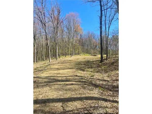 Lot's 4,5 & 6 Anderson Hill Lane, Boyceville, WI 54725
